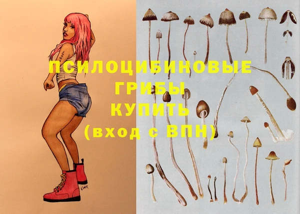 ешки Струнино